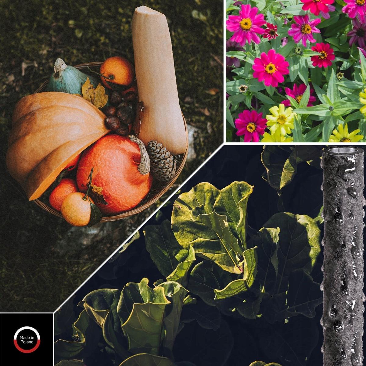 CELLFAST Wąż nawadniający DRIP 1/2, zwój o dł. 15 mb