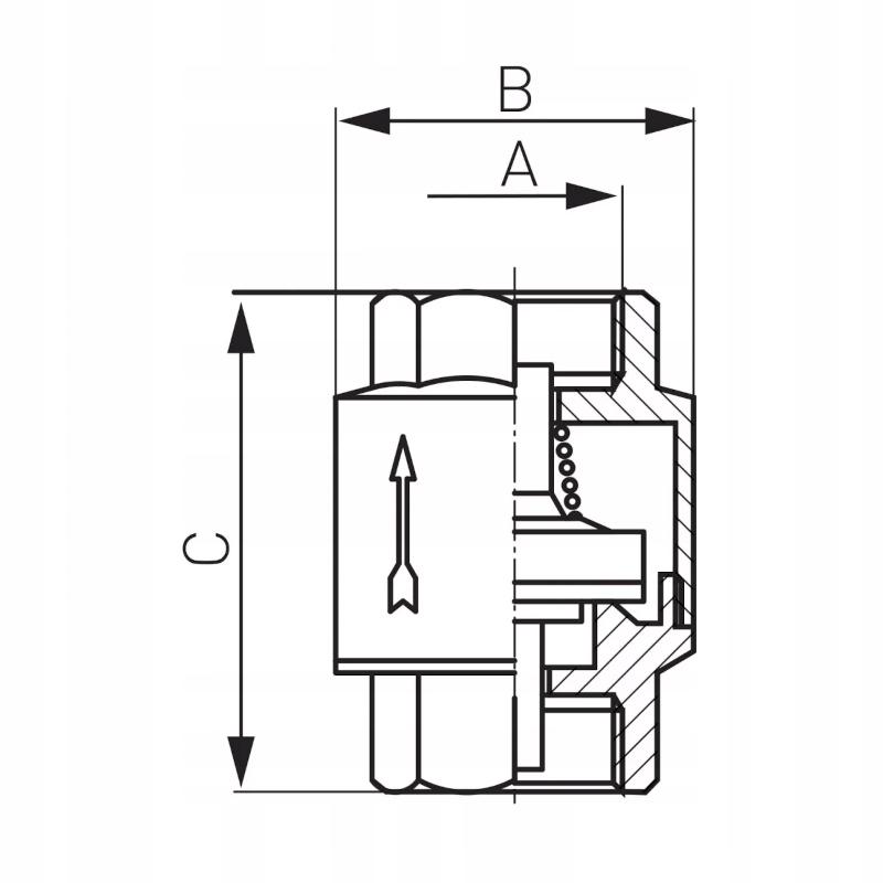Zawór zwrotny FERRO z elementem zamykającym Gw 3 ZZ8 48h