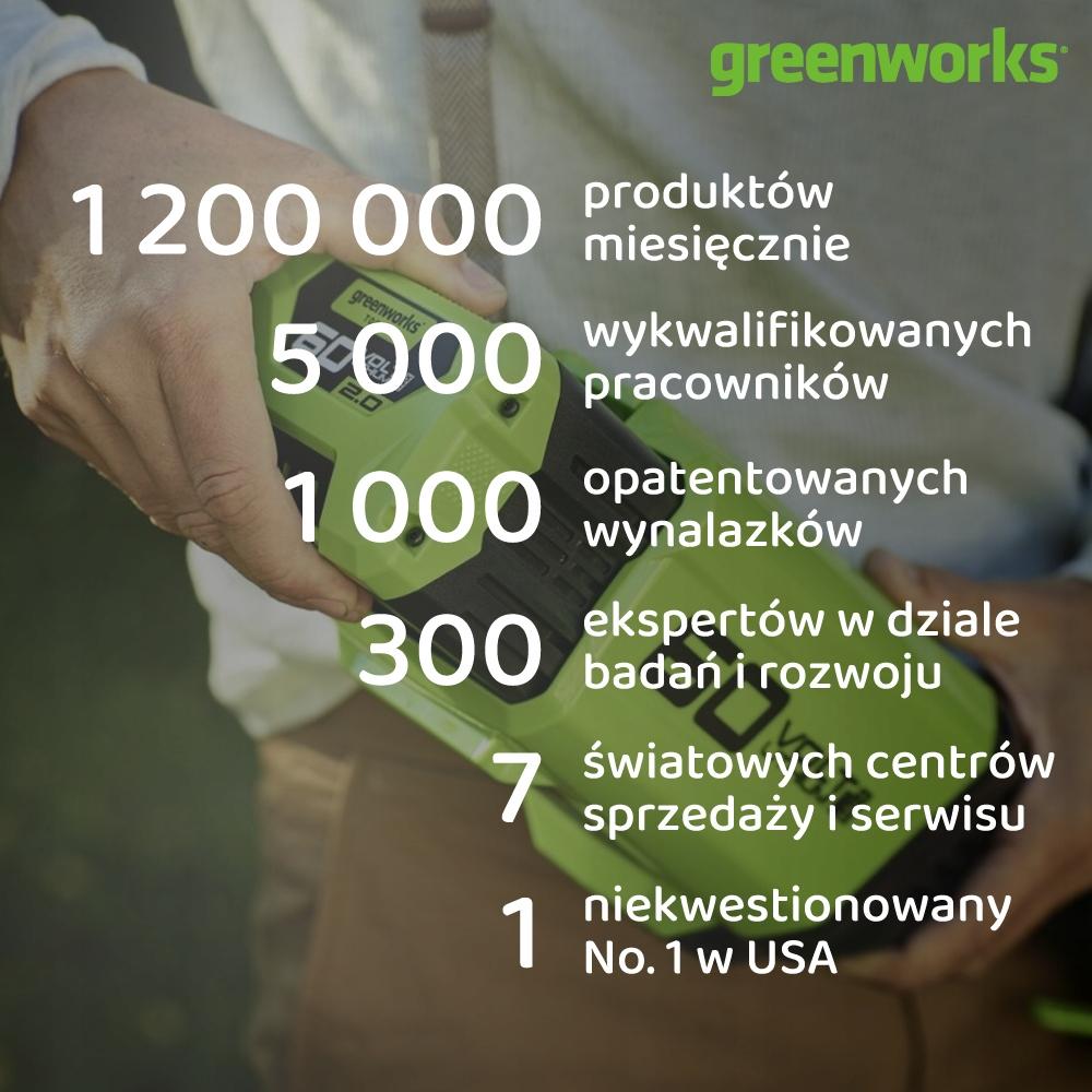 Gwoździarka Greenworks Gd24Bn 24V