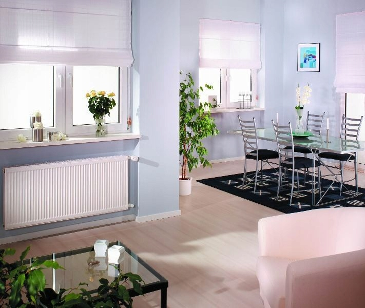 Grzejnik PURMO C 22 550x800 boczny