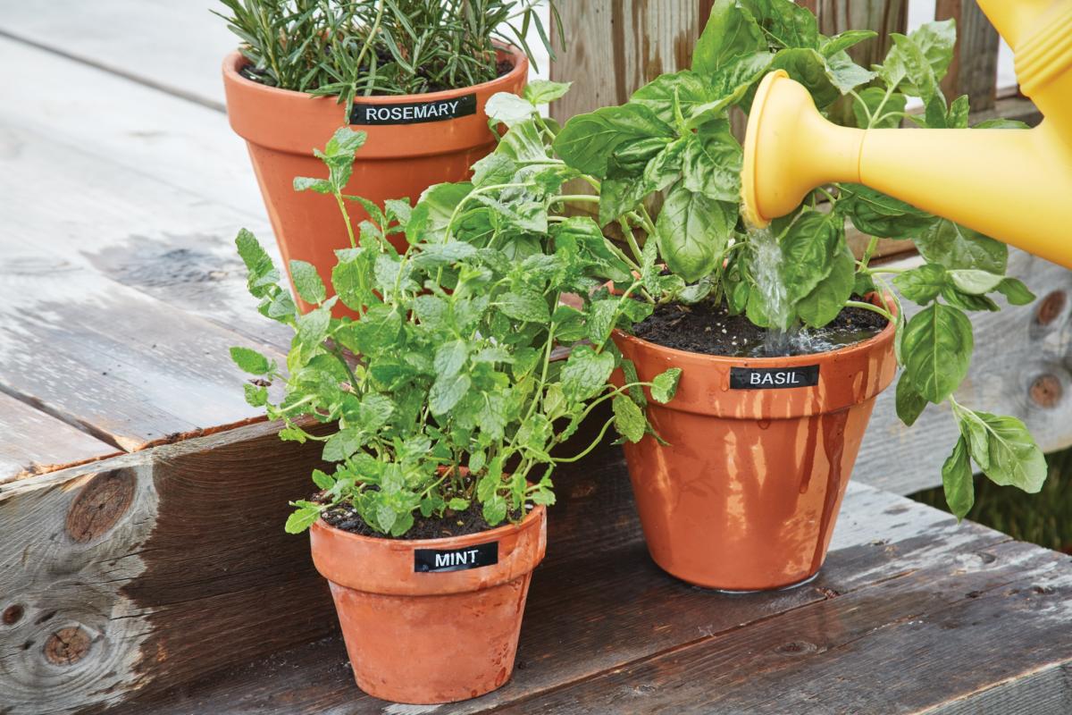 DYMO LabelManager 280, klawiatura QWERTY