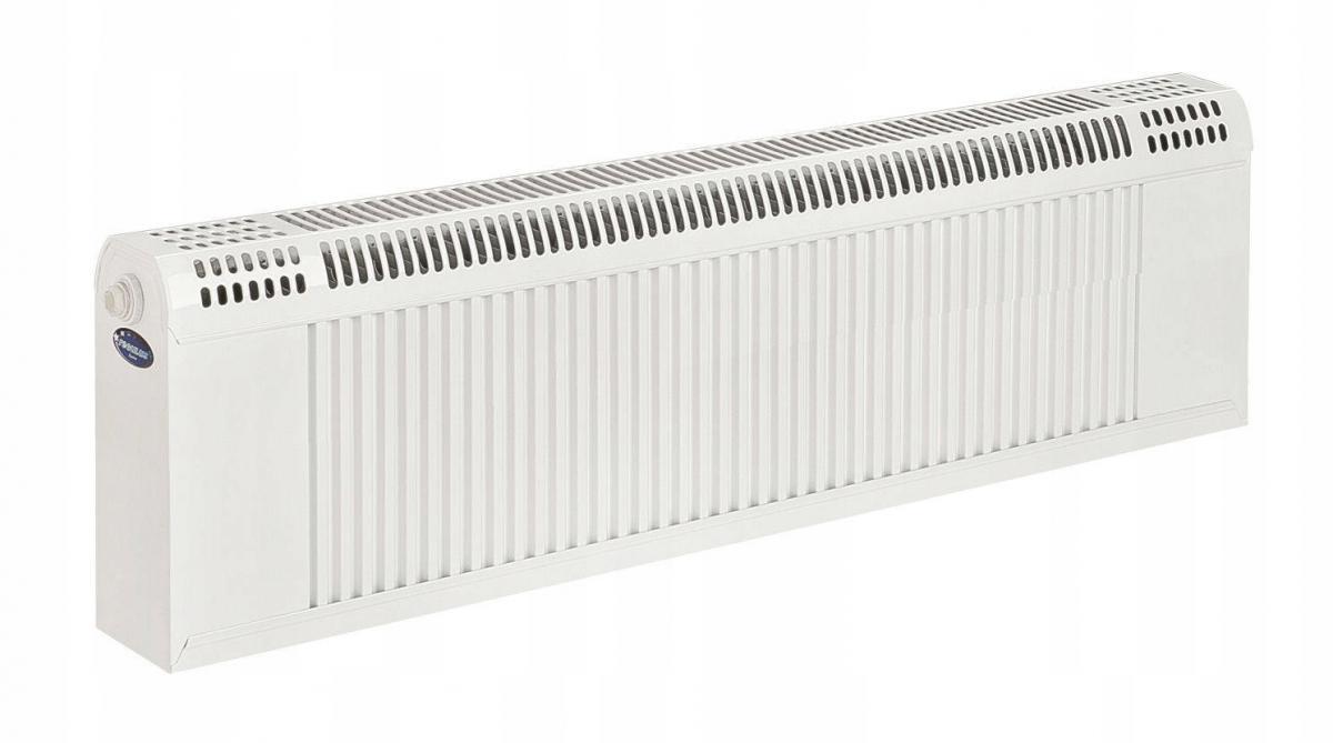 Grzejnik REGULUS 305x1000 REGULLUS boczny 48h