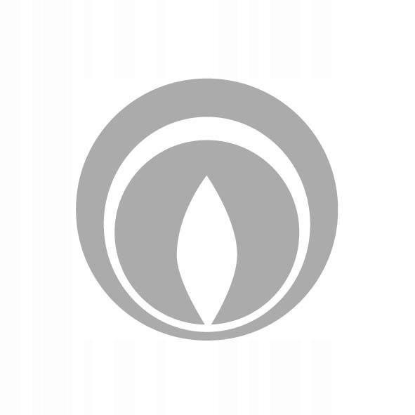 Zestaw Immergas S 60/100 powietrzno-spalinowy srebrny do szachtu