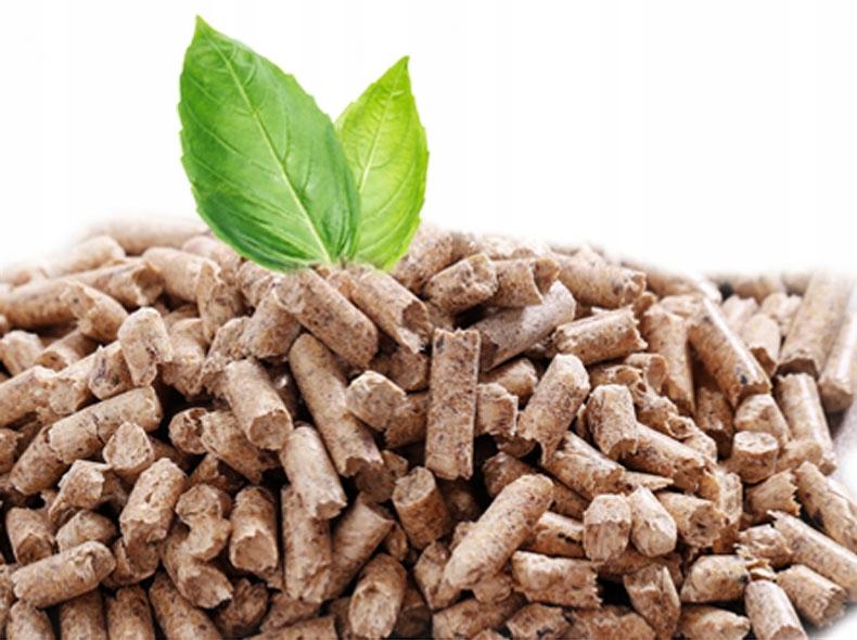 Kocioł C.O FERROLI BIOPELLET PRO 12kW na pellet 48h