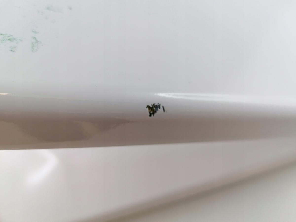 ROCA Deska WC wolnoopadająca ROCA DAMA SENSO biała