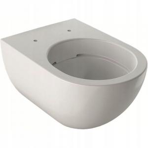 Miska wisząca WC Acanto z ceramiczną muszlą toaletową, zamknięta forma, Rim