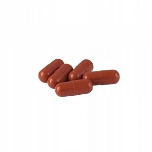 GRAF Preparat BIO7 CHOC AKTYWACJA 375G do osadników