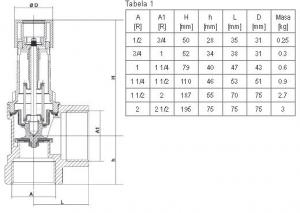 SYR Zawór bezpieczeństwa 1915 G 6/4 cala 3bar 910kW